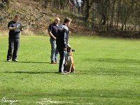 IMG 4078