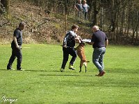 IMG 4081