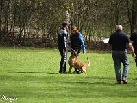 IMG 4086
