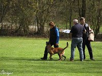 IMG 4091