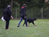IMG 3017