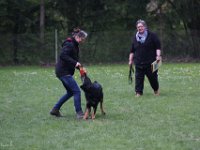 IMG 3022
