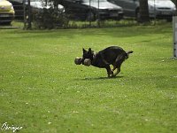 IMG 3433