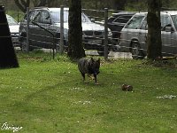 IMG 3445