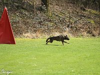 IMG 3743