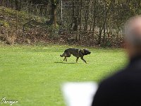 IMG 3744