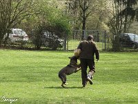 IMG 3766