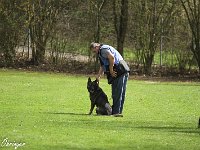 IMG 3824