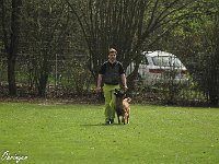 IMG 3452