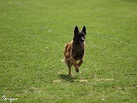 IMG 3465