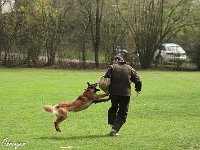 IMG 3701
