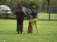 IMG 3721