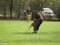 IMG 3729