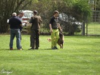 IMG 3738