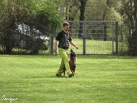 IMG 3739