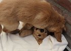IMG 0128