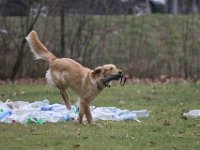 IMG 2343