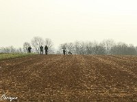 IMG 3103