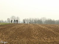 IMG 3104