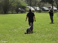 IMG 3350