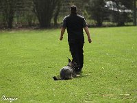 IMG 3351
