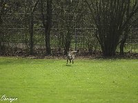 IMG 3376
