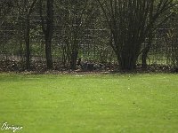 IMG 3377