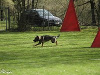 IMG 3975
