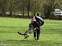 IMG 3996