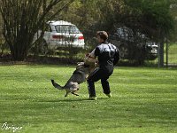 IMG 4001