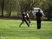 IMG 4015
