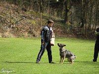 IMG 4021