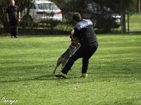 IMG 4032
