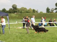 IMG 5661