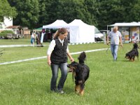 IMG 5677