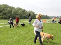 IMG 5690
