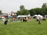 IMG 5714