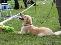 IMG 5727
