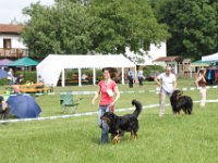 IMG 5752