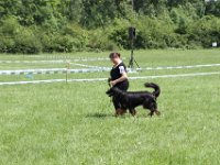 IMG 5811