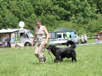 IMG 5852