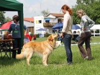 IMG 5863