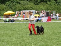 IMG 5887