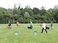 IMG 5918