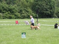 IMG 5956
