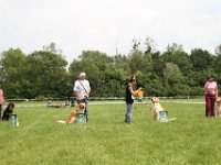 IMG 5991