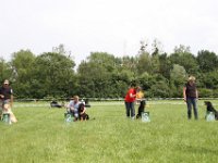 IMG 5996