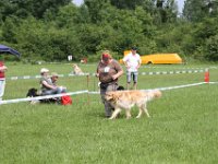IMG 6009