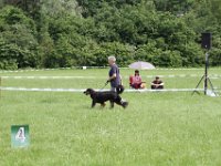 IMG 6018