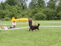 IMG 6038
